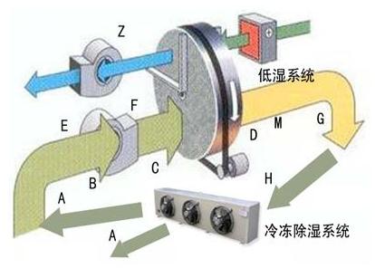 冻干工艺